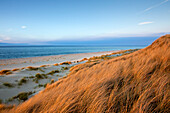 Dunes at the beach, Ellenbogen peninsula, Sylt island, North Sea, North Friesland, Schleswig-Holstein, Germany