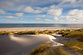 Dunes on the beach, Ellenbogen peninsula, Sylt island, North Sea, North Friesland, Schleswig-Holstein, Germany