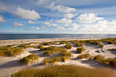 Dunes on the beach, Ellenbogen peninsula, Sylt island, North Sea, North Friesland, Schleswig-Holstein, Germany