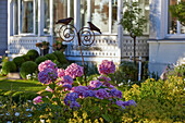 Gartendetail, An der Strandpromenade, Ostseebad Binz, Insel Rügen, Mecklenburg-Vorpommern, Deutschland