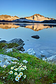 Blick über Schwarzhornsee auf Hochalmspitze, Maltatal, Ankogelgruppe, Nationalpark Hohe Tauern, Kärnten, Österreich