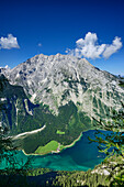 View over lake Koenigssee to Watzmann massif, Gotzenalm, Berchtesgaden National Park, Berchtesgaden Alps, Upper Bavaria, Bavaria, Germany