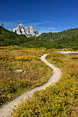 Path winding over a plateau, Watzmann massif in background, Berchtesgaden National Park, Berchtesgaden Alps, Upper Bavaria, Bavaria, Germany