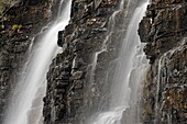 Runoff waterfalls near Logan Pass, Glacier National Park, Montana, USA.