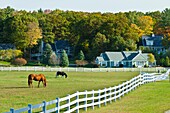 The Dressage Brek-N-Ridge Farm ranch with fall foliage color along Highway 119 near Harbor Springs, Michigan, USA