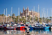 Palma Cathedral from Moll de la Riba, Palma, Mallorca, Balearic Islands, Spain, Europe