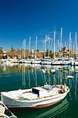 Moll de la Riba, Palma, Mallorca, Balearic Islands, Spain, Europe