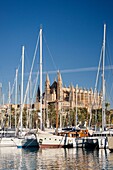 Palma Cathedral from Moll de la Riba, Palma, Mallorca, Balearic Islands, Spain, Europe