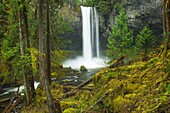 Big Creek Falls, Gifford Pinchot National Forest, Washington