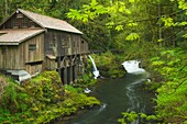 Cedar Creek Grist Mill, Skamania County Washington