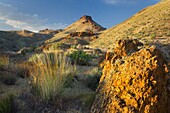 Spires and rock formations made of volcanic tuff in Leslie Gulch in the Owyhee Uplands of SE Oregon