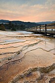 Boardwalk over thermophilic algae and fresh desposits of travertine emanating from Grassy Spring section of Mammoth Hot Springs, Yellowstone National Park
