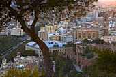Malaga, Cathedral, View of the city and walls of the Alcazaba  Costa del Sol, Andalucia, Spain.