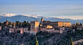 Alhambra  Granada  Spain.