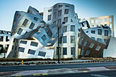 Las Vegas, Nevada -January 20, 2013: The innovative, landmark Cleveland Clinic building designed by renown modernist architect Frank Gehry helps lead the rehabilitation of downtown Las Vegas