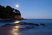 Sa Boadella beach, Lloret de Mar, Girona, Spain