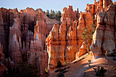 colourful rock formations of Bryce Canyon National Park, United States of America, USA