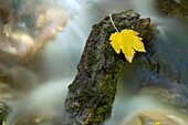 Guadarrama National Park