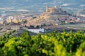 Vineyards of La Rioja with San Vicente de la Sonrierra background, Spain