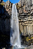 Svartifoss waterfal at Skaftafell National Park  Iceland east