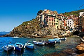 Photo of the colorful houses of the fishing port of Riomaggiore, Cinque Terre National Park, Liguria, Italy