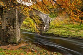 Holne Bridge over the River Dart in Dartmoor National Park, Devon, England, UK, Europe