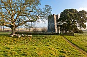 Whitcombe Church built in the 12th century, Whitcombe, Dorset, England, UK, Europe