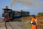 Darjeeling Himalayan Railway Toy Train, with Himalaya Mountains View, Darjeeling, West Bengal, India