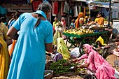Fruit and Vegetable Market, Pushkar, Rajasthan, India