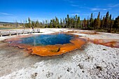 Emerald Pool, a colorful hot springs thermal pool, at Black Sand Basin, Yellowstone National Park, Wyoming/Idaho, Montana, USA