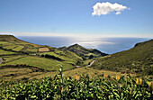 Kustenlandschaft bei Lajedo, Südwestküste, Insel Flores, Azoren, Portugal
