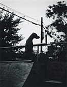 Coonhound Dog, Outdoor Portrait, Silhouette