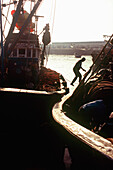 Man Jumping From One Fishing Boat to Another, Essaouira, Morocco