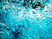 Underwater Bubbles