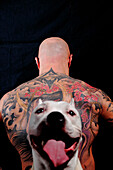 American Staffordshire Dog and Man's Tattooed Back