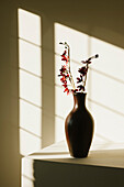 Flowers in Vase with Striped Shadows on Wall in Background