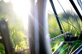 Bicycle Detail with Sun Flare, Close-Up