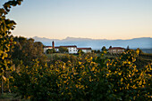 Church and Small Hillside Village, Italy