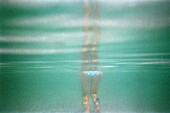 Woman's Legs Underwater
