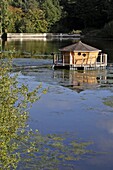 Floating Cabin On A Lake In Autumn, Domaine Du Bois Landry, Champrond-En-Gatine, Perche, Eure-Et-Loir (28), France