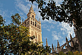 The Giralda, Moorish Tower Of The Old Great Mosque Dating From The 12Th Century, Seville, Andalusia, Spain