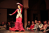 Flamenco Performance, Museo Del Baile Flamenco, Flamenco Museum, Seville, Andalusia, Spain