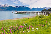 Tour Boat Moored At A Dock At Portage Cove Beach With Mount Villard In The Background, Haines, Southeast Alaska, Summer