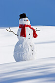 Snowman With A Red Scarf And Black Top Hat Sitting Next To A Snow Covered River Bed, Southcentral Alaska, Winter