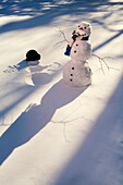 Snowman In Forest Making Snow Angel Imprint In Snow In Late Afternoon Sunlight Alaska Winter