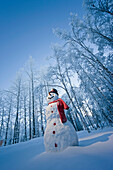 Snowman With Red Scarf And Black Top Hat Standing In Front Of Snow Covered Birch Forest, Winter