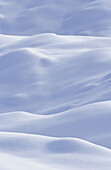 Snowdrifts Near Anchorage Sc Alaska Winter