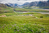 'View Of Eielson Visitor's Center From A Vantage Point Above On Mount Eielson Denali National Park; Alaska United States Of America'