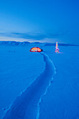 'A Path Through The Snow Leads To A Backpacking Tent Lit Up At Dawn With A Christmas Tree Next To It Foothills Of The Alaska Range In The Distance Isabel Pass Along The Richardson Highway Interior Alaska; Anchorage Alaska United States Of America'