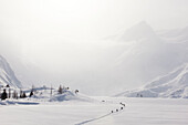 Group of skiers cross Portage Lake during a wind storm, Southcentral Alaska, Winter